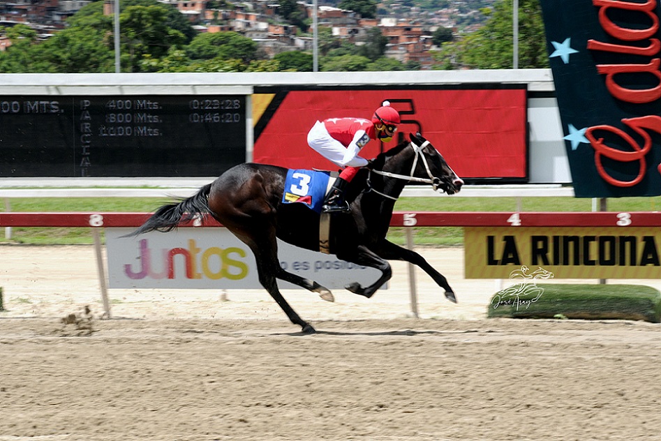 Fast Sensations, horse, Thunder Ridge, Clásico Julián Abdala, domingo, 28 de agosto de 2022, La Rinconada. Foto: José Antonio Aray