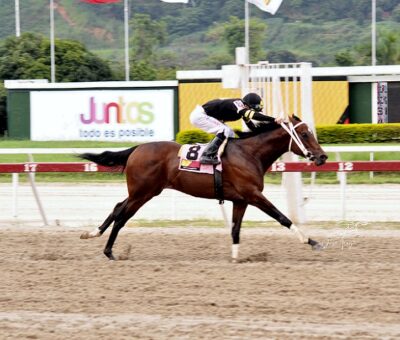 Futuro, horse, Haras Los Caracaros, Clásico My Own Business, domingo, 7 de agosto de 2022, La Rinconada. Foto: José Antonio Aray
