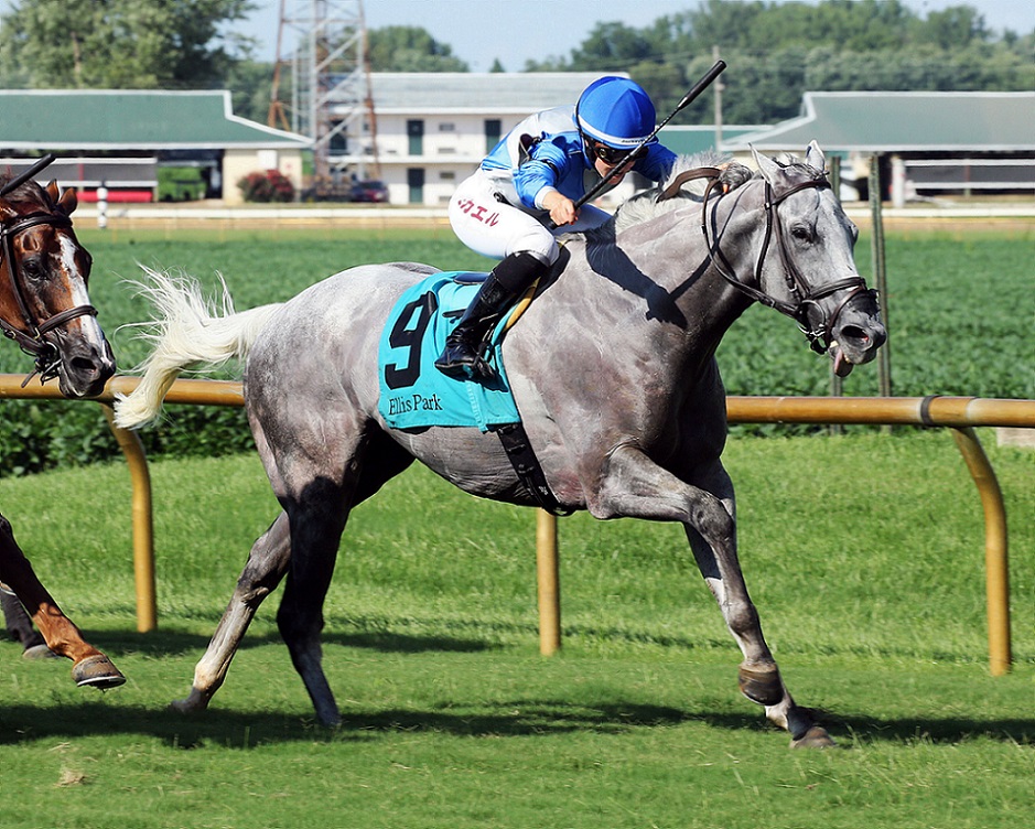Gray´s Fable, Mickaelle Michel, Jeff Zlonis, Evan Wiiliams Turf Mile Stake, domingo, 9 de agosto de 2022, Ellis Park. Foto: Coady Photography