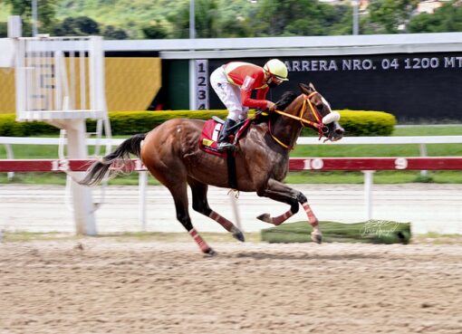 La Sensacional, horse, King Seraf, Clásico Simón Rodríguez, domingo, 7 de agosto de 2022, La Rinconada. Foto: José Antonio Aray