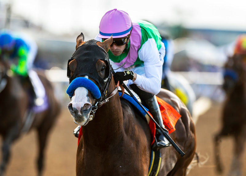 Laurel River, horse, Juddmonte Farm, Pat O´Brien Stakes, sábado, 27 de agosto de 2022, Santa Anita Park. Foto: Benoit Photo