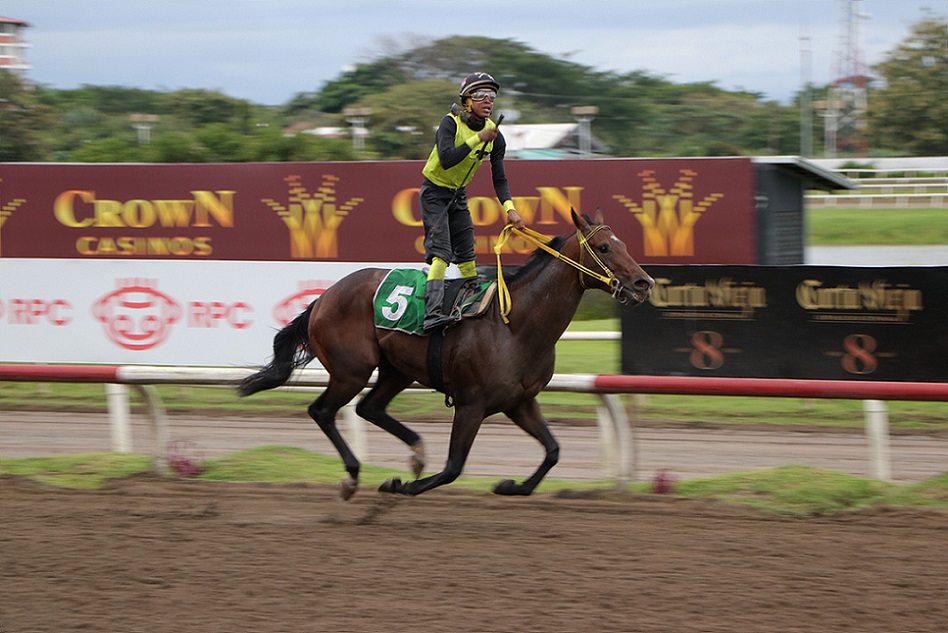 Mr. Santi, horse, Haras San Miguel, Clásico Arturo, Eric, Max, Eric Arturo y Eric Antonio Delvalle, sábado, 13 de agosto de 2022, Presidente Remón. Foto: Erick Ruiz Monroe
