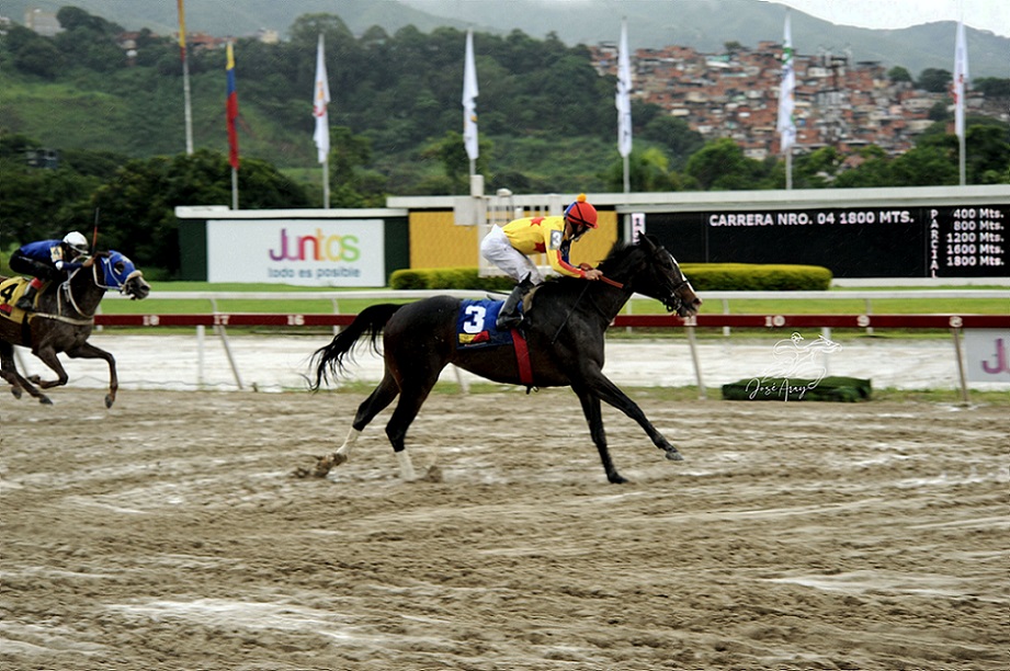 Philomena, horse, King Seraf, Clásico Gelinotte, domingo, 14 de agosto de 2022, La Rinconada. Foto: José Antonio Aray