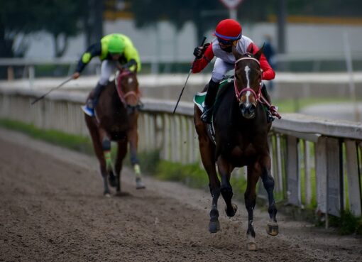 Preciosa Zafiro, horses, Liaison, Hándicap Monarca, Hipódromo de Las Américas, viernes, 19 de agosto de 2022. Foto: Miguel Ángel Espinoza