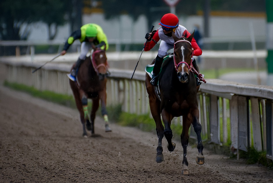 Preciosa Zafiro, horses, Liaison, Hándicap Monarca, Hipódromo de Las Américas, viernes, 19 de agosto de 2022. Foto: Miguel Ángel Espinoza