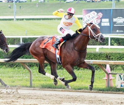 Skippylongstocking, horse, Brushy Hill LLC, West Virginia Derby, sábado, 6 de agosto de 2022, Mountaineer Casino. Foto: Coady Photography