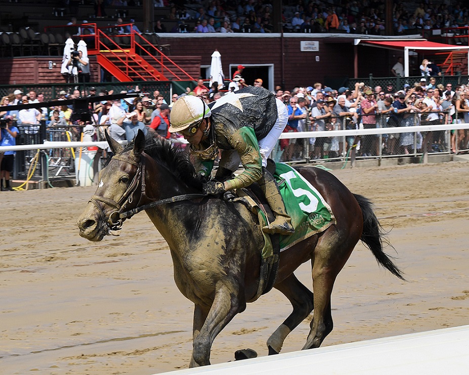 Bossmakinbossmoves, horse, Laoban, Albany Stakes, viernes, 26 de agosto de 2022, Saratoga. Foto: Coglaniese Photo & Chelsea Durand