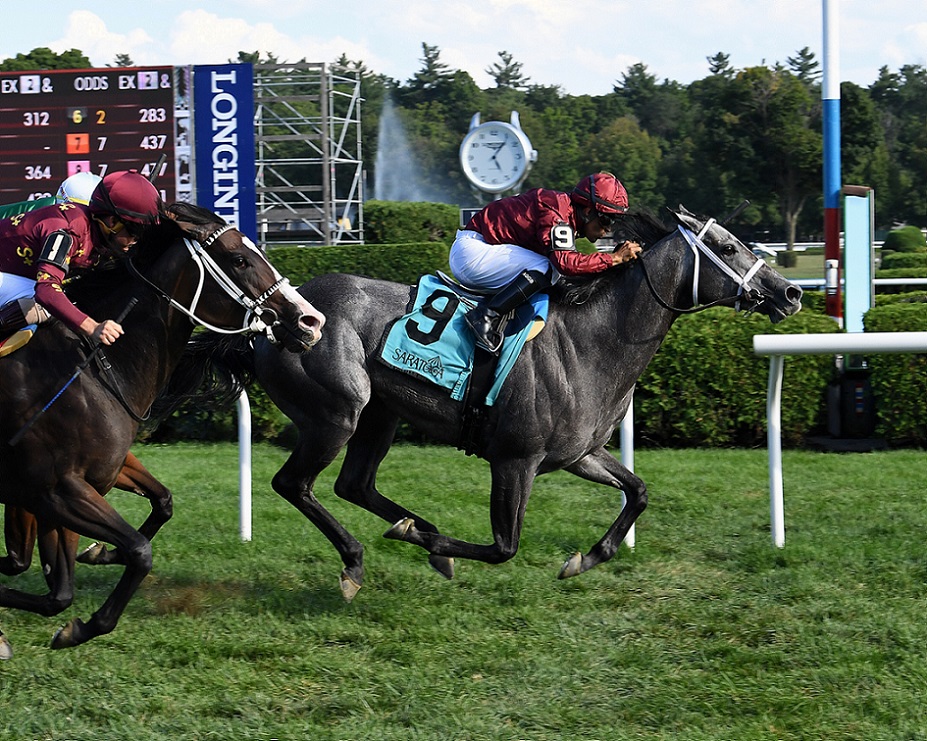 Caravel, horse, Madaket Stables, Smart N Fancy Stakes, sábado, 20 de agosto de 2022, Saratoga. Foto: Coglaniese Photo