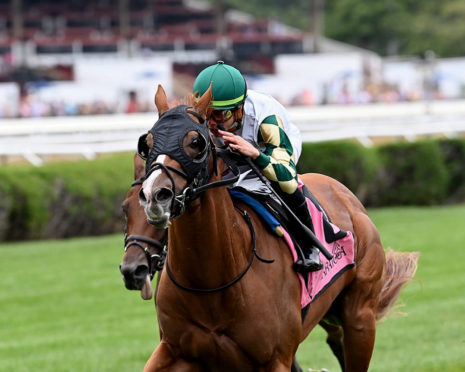 Dakota Gold, horse, Freud, NYSSS Cab Calloway, miércoles, 17 de agosto de 2022, Saratoga. Foto: Coglaniese Photo & Chelsea Durand