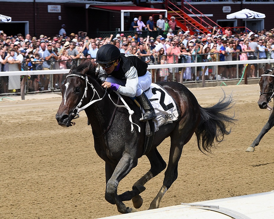 Damon´s Mount, horse, Girvin, Saratoga Special Stakes, sábado, 13 de agosto de 2022, Saratoga. Foto: Coglaniese Photo & Chelsea Durand