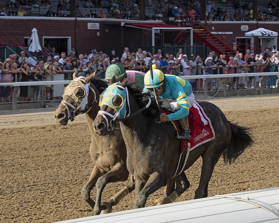 Girl Dad, horse, Spendthrift Farm, John´s Call Stakes, miércoles, 24 de agosto de 2022, Saratoga. Foto: Coglaniese Photo & Chelsea Durand