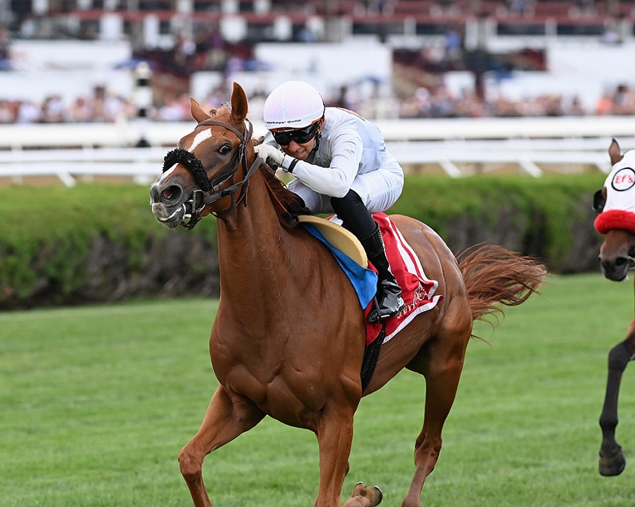 Golden Rocket, horse, Ballybrit Stables, NYSSS Statue Of Liberty, jueves, 18 de agosto de 2022, Saratoga. Foto: Coglaniese Photo & Chelsea Durand