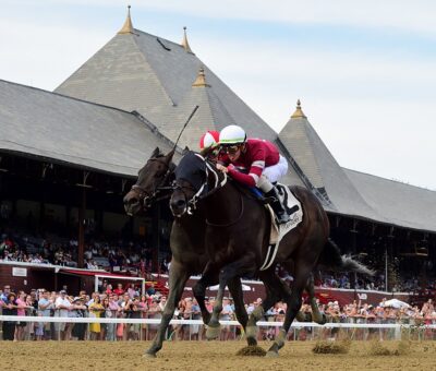 Gunite, horse, Winchell Thoroughbred, Amsterdam Stakes, domingo, 31 de julio de 2022, Belmont Park. Foto: Coglaniese Photo & Susie Raisher