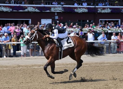 Naughty Gal, horse, Loren Nichols, Adirondack Stakes, domingo, 7 de agosto de 2022, Saratoga. Foto: Coglaniese Photo & Chelsea Durand