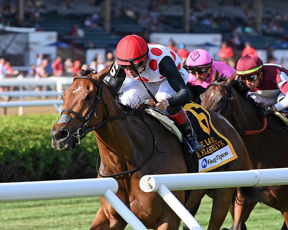 Our Flash Drive, horse, Live Oak Plantation, De La Rosa Stakes, domingo, 7 de agosto de 2022, Saratoga. Foto: Coglaniese Photo & Chelsea Durand
