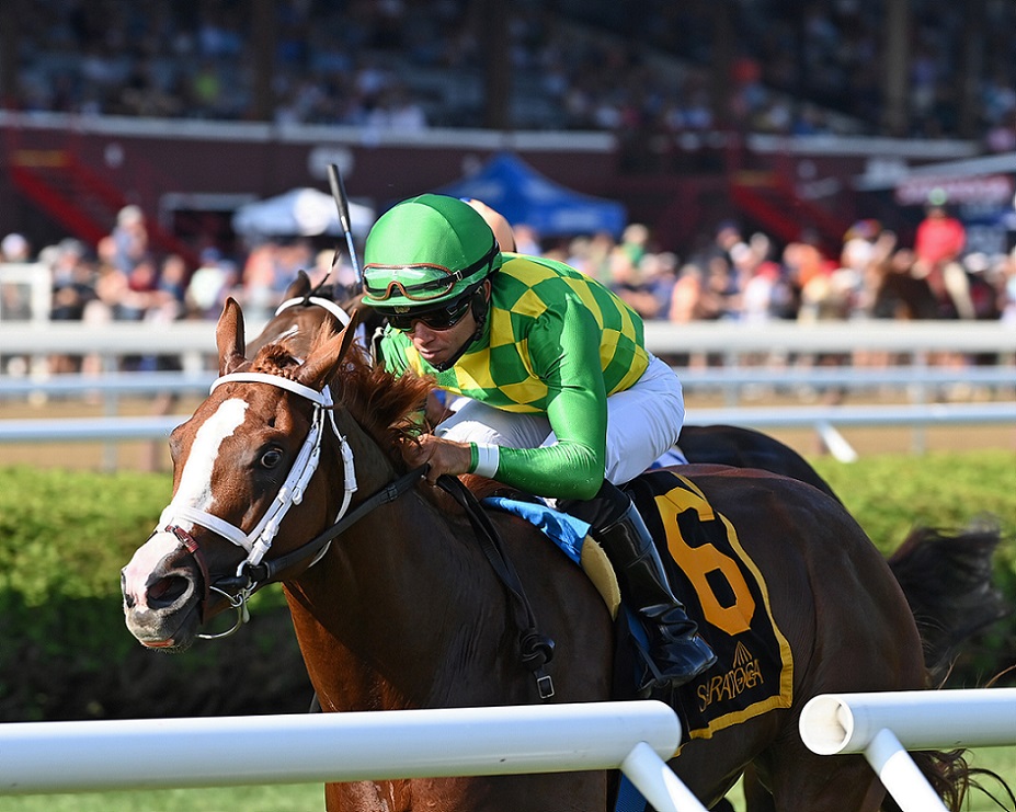 Ready To Purrform, horse, Kitten´s Joy, National Museum Of Racing Hall of Fame Stakes, viernes, 5 de agosto de 2022, Saratoga. Foto: Coglaniese Photo & Chelsea Durand