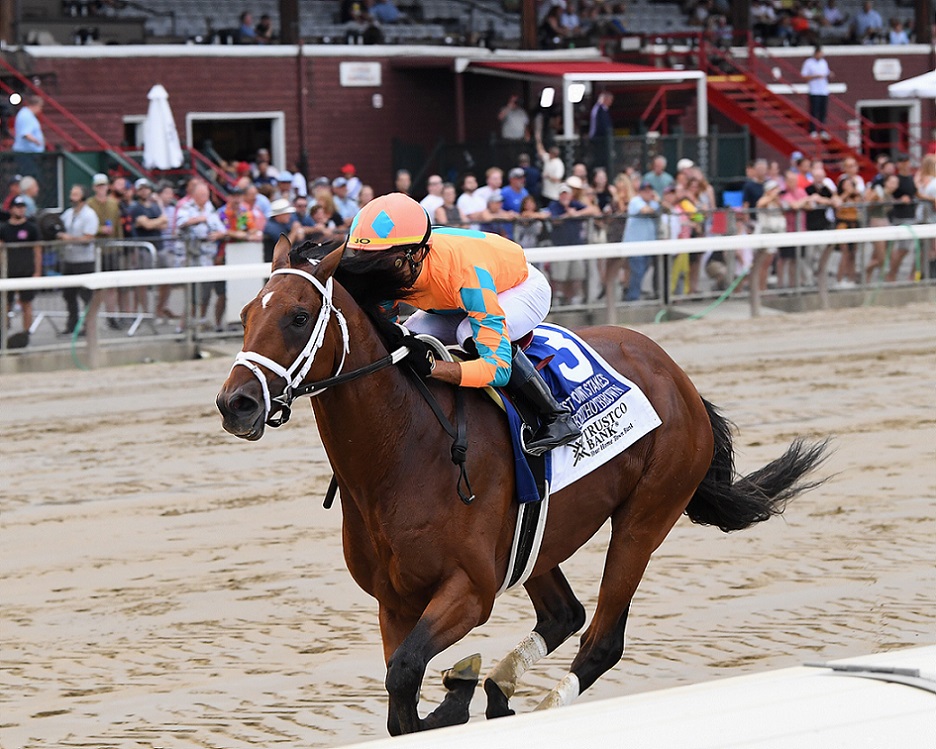 Somelikeithotbrown, horse, Hot Pink Stables, West Point Stakes, viernes, 26 de agosto de 2022, Saratoga. Foto: Coglaniese Photo & Chelsea Durand