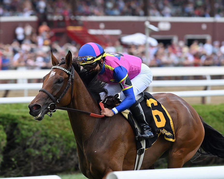 War Like Goddess, horse, English Channel, Glens Falls Stakes, sábado, 6 de agosto de 2022, Saratoga. Foto: Coglaniese Photo & Chelsea Durand