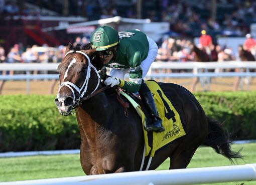 Wit, horse, Practical Joke, Better Talk Now Stakes, domingo, 22 de agosto de 2022, Saratoga. Foto: Coglaniese Photo & Chelsea Durand