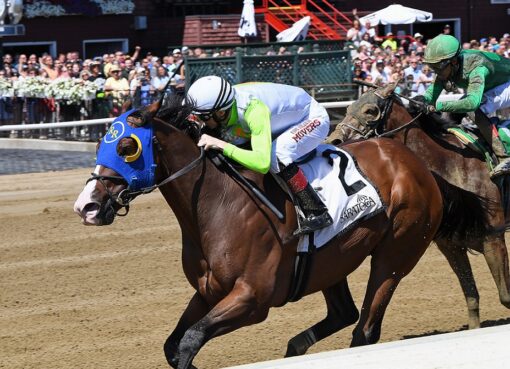 Wudda U Think Now, horse, Mina Equivest LLC, John Morrissey Stakes, viernes, 12 de agosto de 2022, Saratoga. Foto: Coglaniese Photo & Chelsea Durand