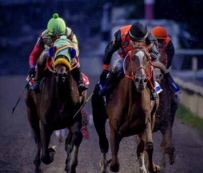 Animal Crown, horses, Animal Kingdom, Clásico Ciudad de México, Hipódromo de Las Américas, sábado, 17 de septiembre de 2022. Foto: Miguel Ángel Espinoza