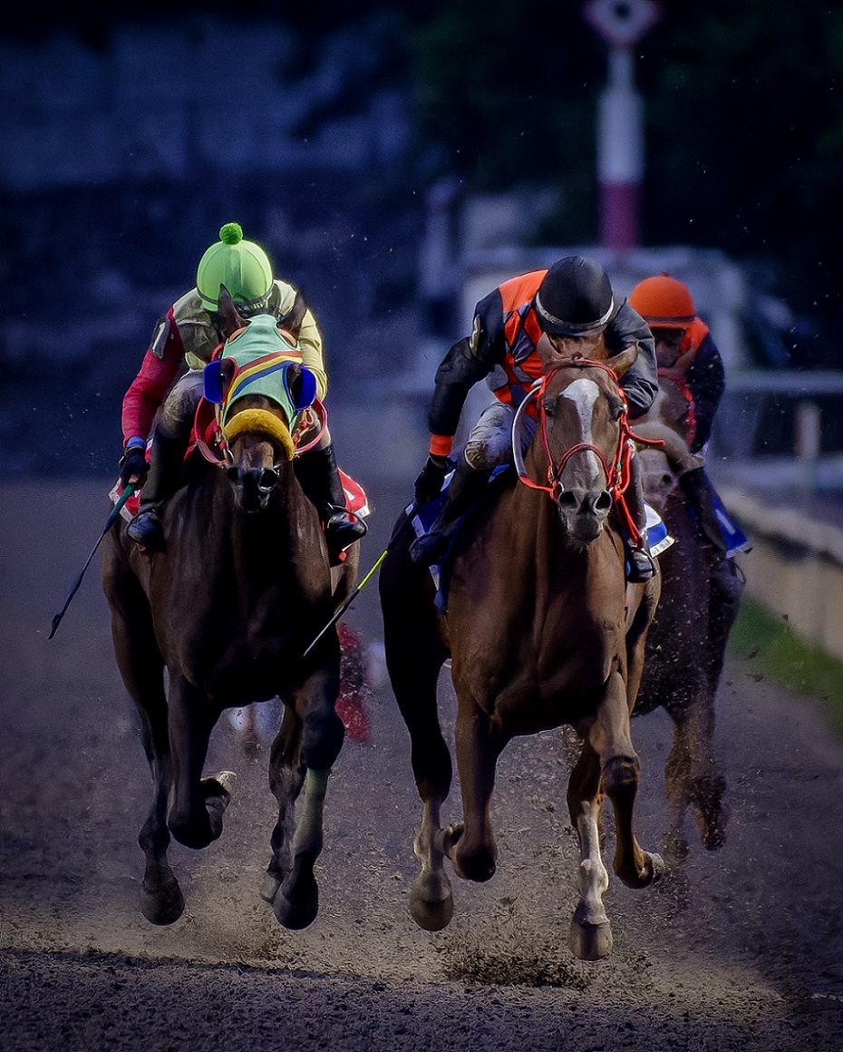 Animal Crown, horses, Animal Kingdom, Clásico Ciudad de México, Hipódromo de Las Américas, sábado, 17 de septiembre de 2022. Foto: Miguel Ángel Espinoza
