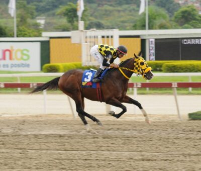 Bombazo, horse, Haras Alegría, Clásico Victoreado, domingo, 25 de septiembre de 2022, La Rinconada. Foto: José Antonio Aray