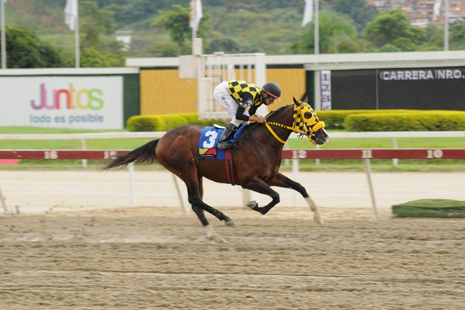 Bombazo, horse, Haras Alegría, Clásico Victoreado, domingo, 25 de septiembre de 2022, La Rinconada. Foto: José Antonio Aray