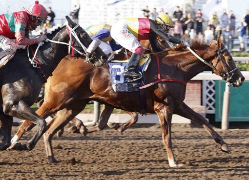 Chromium, horse, Haras Santa Olga, Clásico Dos Mil Guineas, sábado, 3 de septiembre de 2022, Hipódromo Chile. Foto: Jaime Cortés