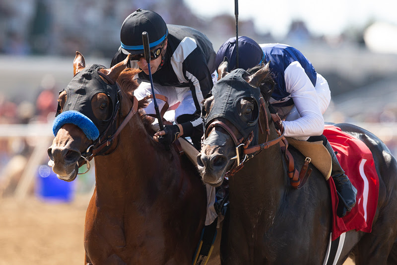 Go Joe Won, horse, Protonico, Shared Belief Stakes, sábado, 3 de septiembre de 2022, Del Mar. Foto: Benoit Photo