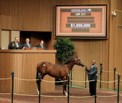 Potro castaño hijo de, Constitution en Last Full Measure por Empire Maker., sesión 2, Keeneland Sales, martes, 13 de septiembre de 2022, Keeneland. Foto: Keeneland