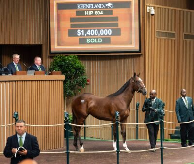 Potro castaño hijo de, Into Mischief en Dawn the Destroyer por Speightstown, sesión 3, Keeneland Sales, miércoles, 15 de septiembre de 2022, Keeneland. Foto: Keeneland