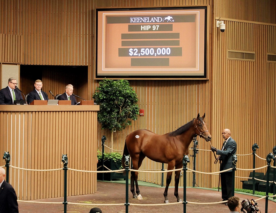 Potro castaño hijo de, Quality Road en True Feelings por Latent Heat., sesión 1, Keeneland Sales, lunes, 12 de septiembre de 2022, Keeneland. Foto: Keeneland