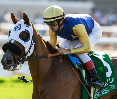 Hong Kong Harry, horse, Es Que Love, Del Mar Mile Stakes, sábado, 3 de septiembre de 2022, Del Mar. Foto: Benoit Photo