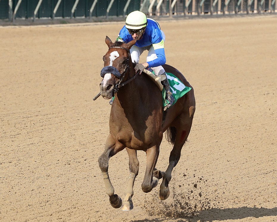 Le Da Vida, Horses, Haras Santa Olga, Allowance Optional Claiming, jueves, 15 de septiembre de 2022, Churchill Downs. Foto: Coady Photography
