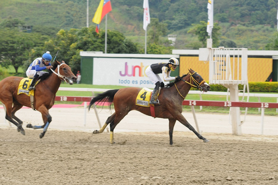 Sharapova, horse, Haras Los Samanes, Clásico Hípica Nacional, domingo, 25 de septiembre de 2022, La Rinconada. Foto: José Antonio Aray