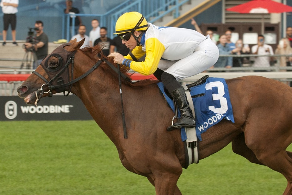 Ready For The Lady, horse, More Than Ready, Singspiel Stakes, domingo, 18 de septiembre de 2022, Woodbine. Michael Burns Photography & Woodbine