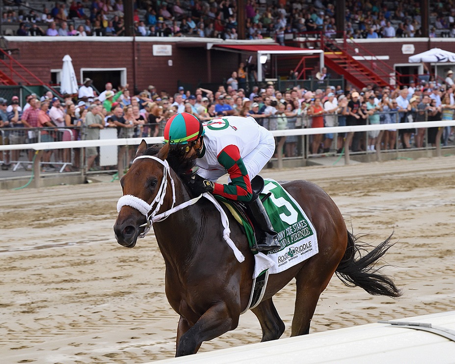 Andiamo A Firenze, horse, Speightstown, Funny Cide Stakes, viernes, 26 de agosto de 2022, Saratoga. Foto: Coglaniese Photo & Chelsea Durand