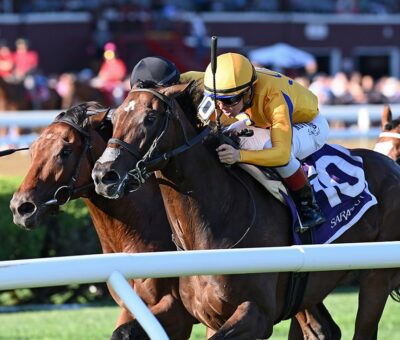 Boppy O, horse, Rustlewood Farm, With Anticipation Stakes, miércoles, 31 de agosto de 2022, Saratoga. Foto: Coglaniese Photo & Chelsea Durand