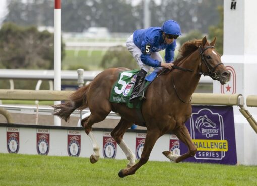 Modern Games, horse, Godolphin, Pattison Ricoh Woodbine Mile Stakes, sábado, 17 de septiembre de 2022, Woodbine. Michael Burns Photography & Woodbine