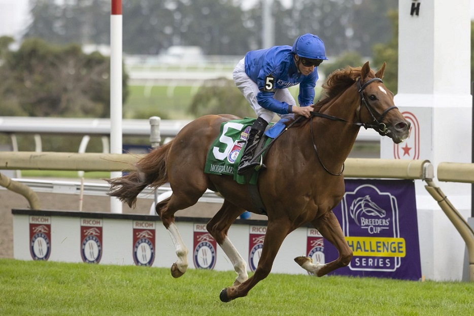 Modern Games, horse, Godolphin, Pattison Ricoh Woodbine Mile Stakes, sábado, 17 de septiembre de 2022, Woodbine. Michael Burns Photography & Woodbine