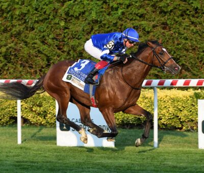 Nations Pride, horse, Teofilo, Caesars Jockey Club Derby Invitational Stakes, sábado, 17 de septiembre de 2022, Belmont At The Big A. Foto: Coglaniese Photo & Chelsea Durand