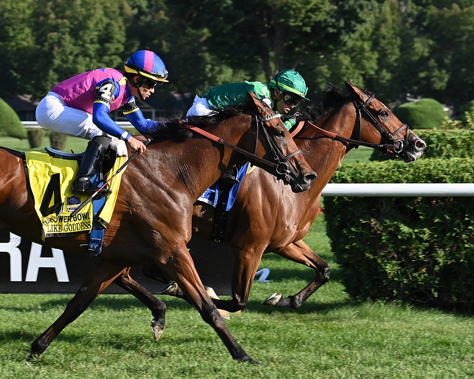 Virginia Joy, Soldier Hollow, Flower Bowl Stakes, sábado, 3 de septiembre de 2022, Saratoga. Foto: Coglaniese Photo