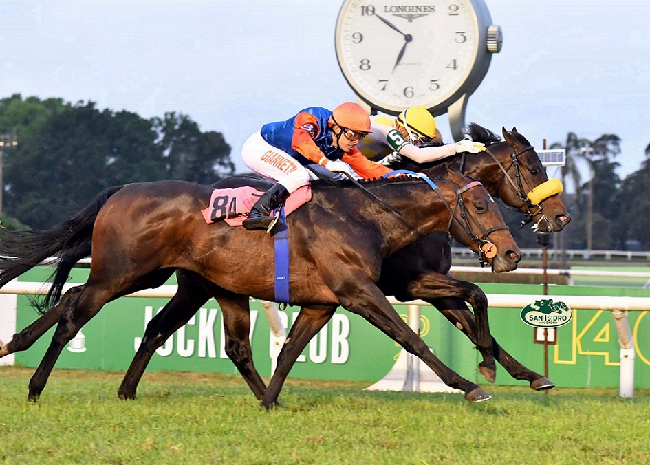 Natan, horse, Señor Candy, Clásico Jockey Club, miércoles, 15 de octubre de 2022, Hipódromo de San Isidro. Foto: Prensa HSI