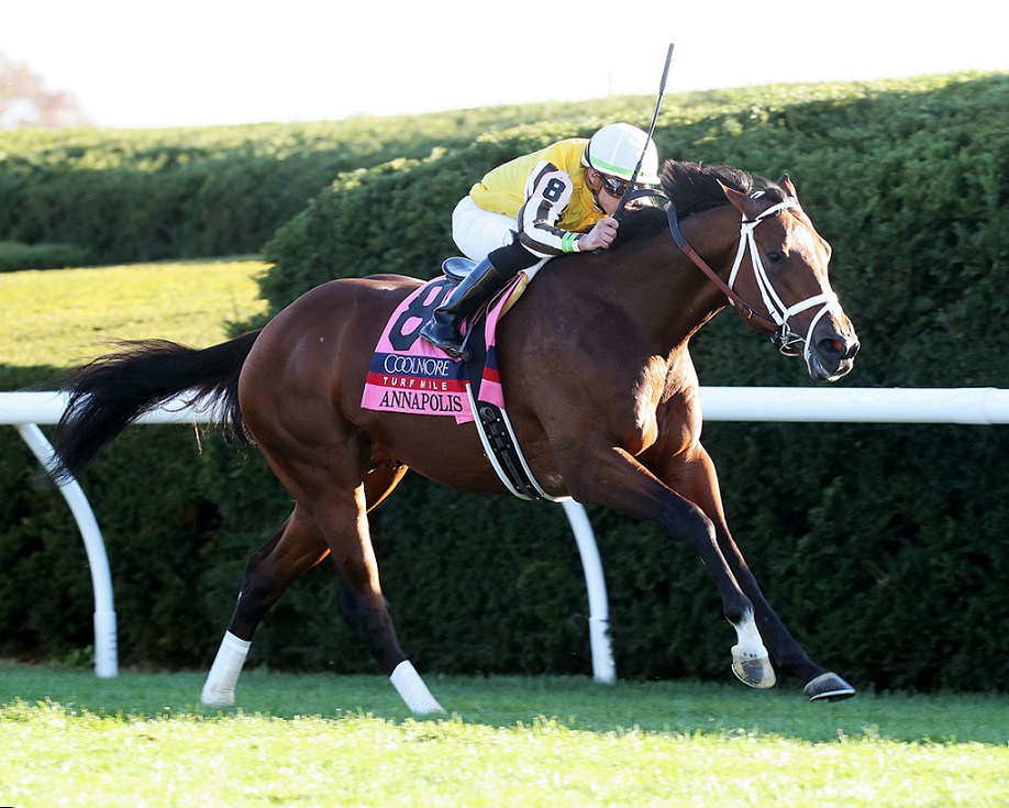 Annapolis, horse, War Front, Fanduel Woodford Stakes, sábado, 8 de octubre de 2022, Keeneland. Foto: Coady Photography
