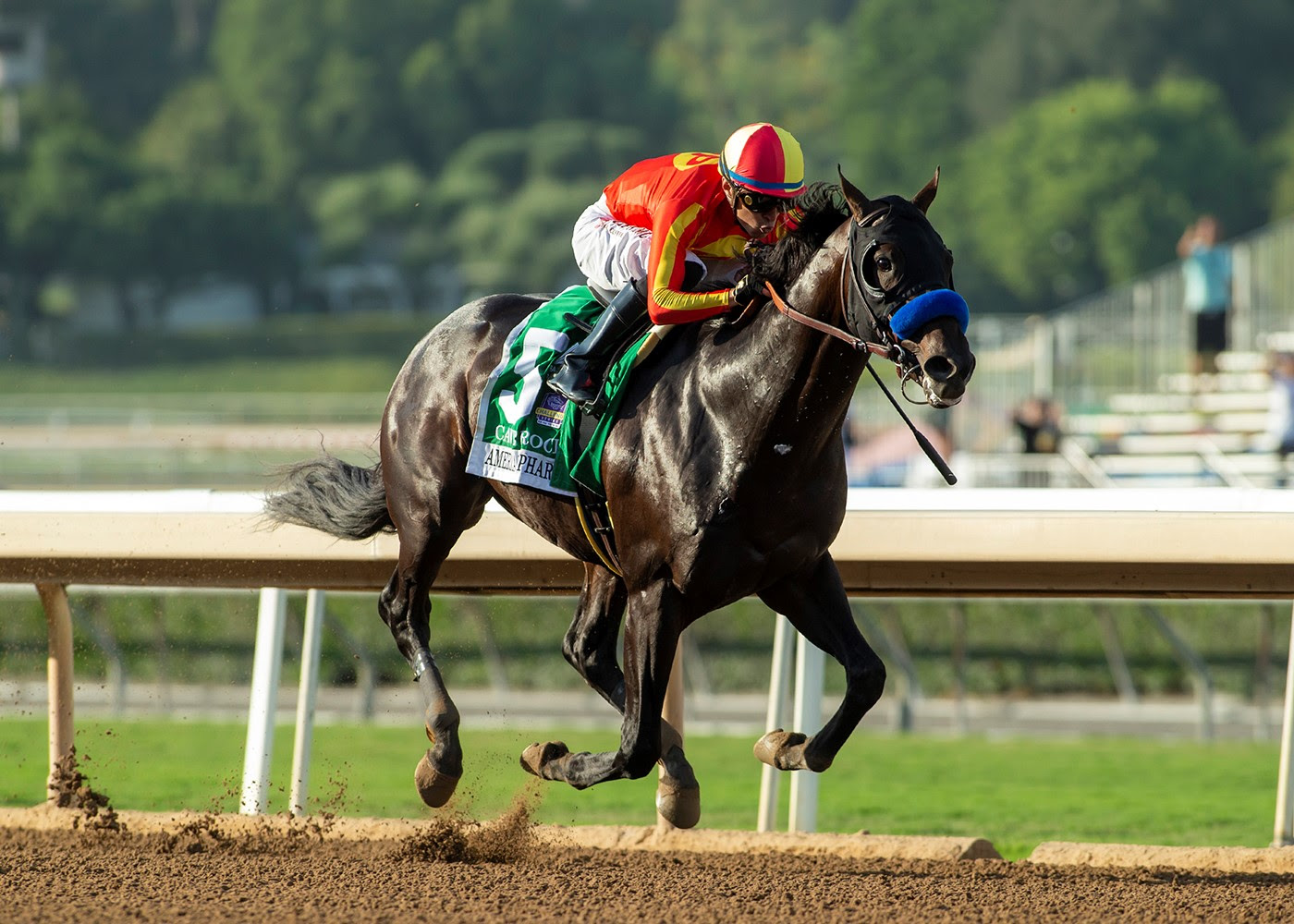 Cave Rock, horse, Arrogate, American Pharoah Stakes, sábado, 8 de octubre de 2022, Santa Anita Park. Foto: Benoit Photo