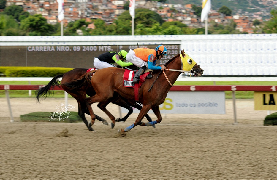 Danierold, horse, Z Humor, LXXVI Clásico Simón Bolívar, domingo, 30 de octubre de 2022, La Rinconada. Foto: José Antonio Aray