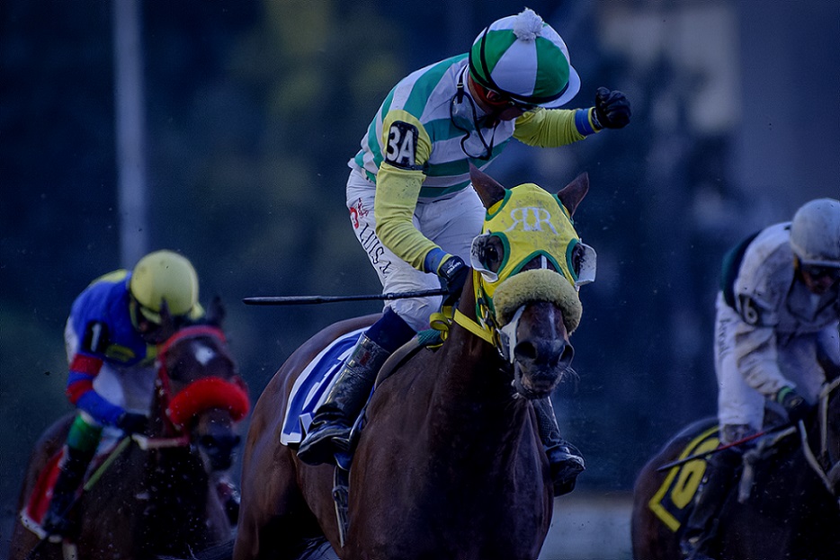 Delta del Nilo, horses, Drover, Clásico Dominciano, Hipódromo de Las Américas, sábado, 1 de octubre de 2022. Foto: Miguel Ángel Espinoza