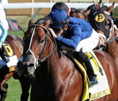 Golden Pal, horse, Uncle Mo, Fanduel Woodford Stakes, sábado, 8 de octubre de 2022, Keeneland. Foto: Coady Photography