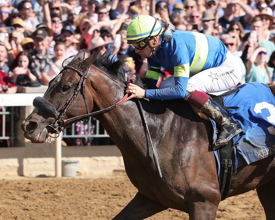 Le Da Vida, Horses, Haras Santa Olga, Allowance Optional Claiming, sábado, 29 de octubre de 2022, Keeneland. Foto: Coady Photography